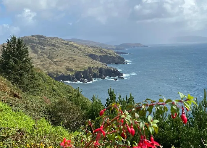 Wild Wild West Holiday Cottages