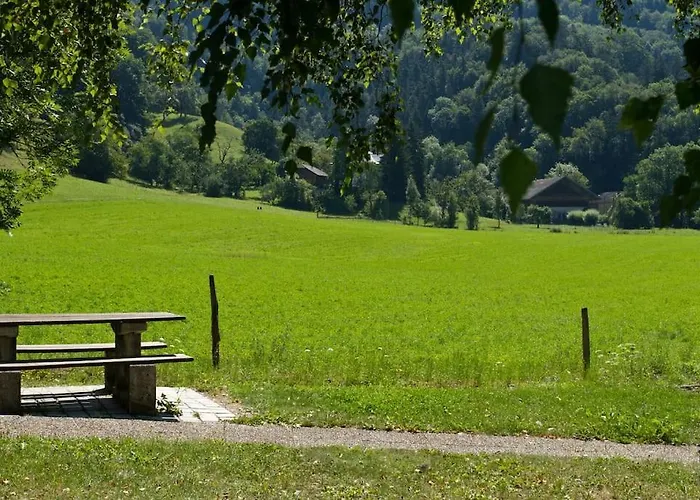 At Foot Of Mont Blanc Studio 2 P