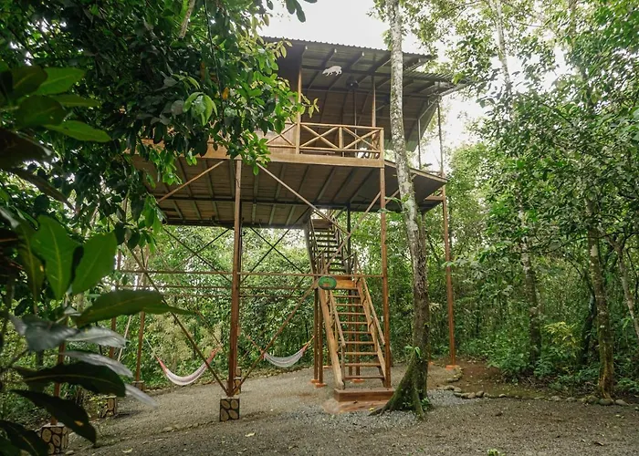 Tree Houses Hotel Costa Rica