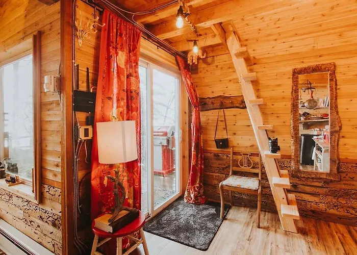 Treehouse-Small Eagles Perch Over The Water