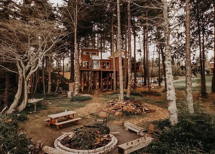 Treehouse-Small Eagles Perch Over The Water
