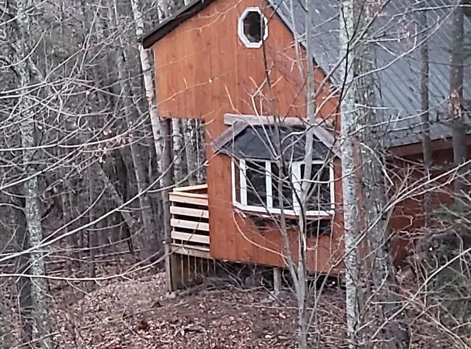 Vana Kuti-Cabin In The Woods