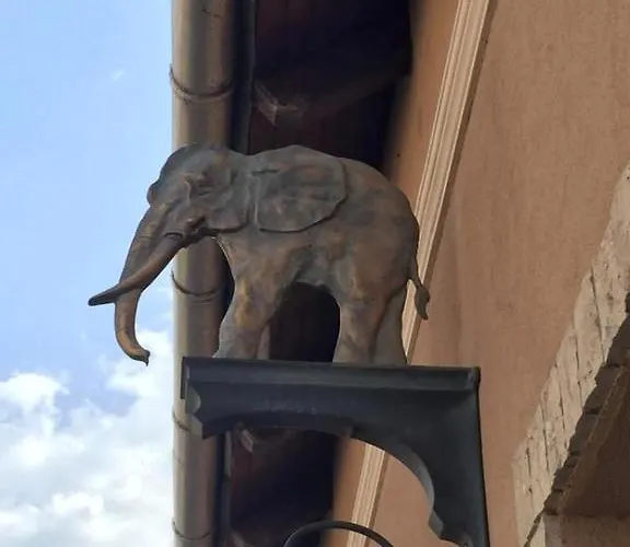 Arany Elefant Szallashely