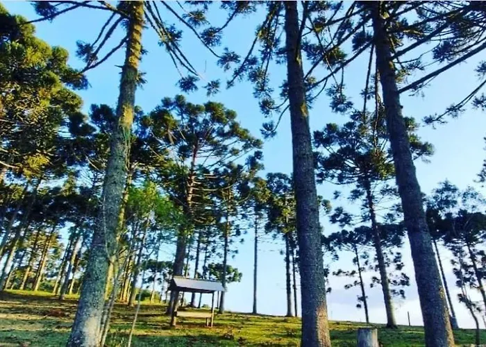Pousada Recanto Das Araucárias