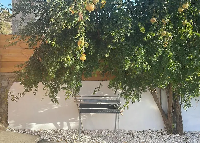 Fig&Olive Luxury One Bedroom Boutique In Pachna