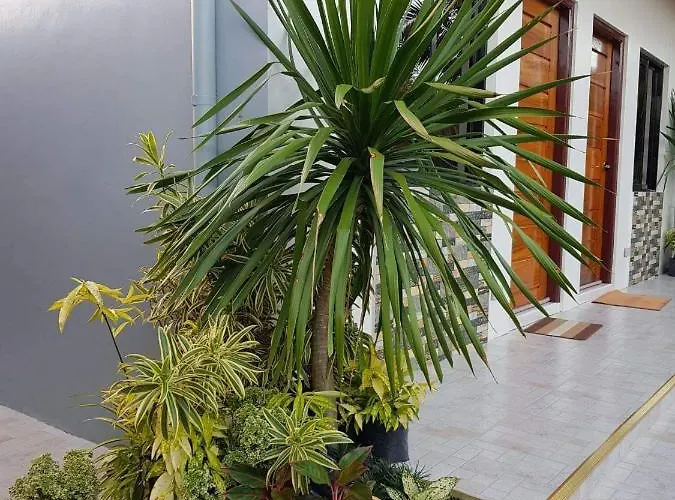 Flb Apartelle Los Banos