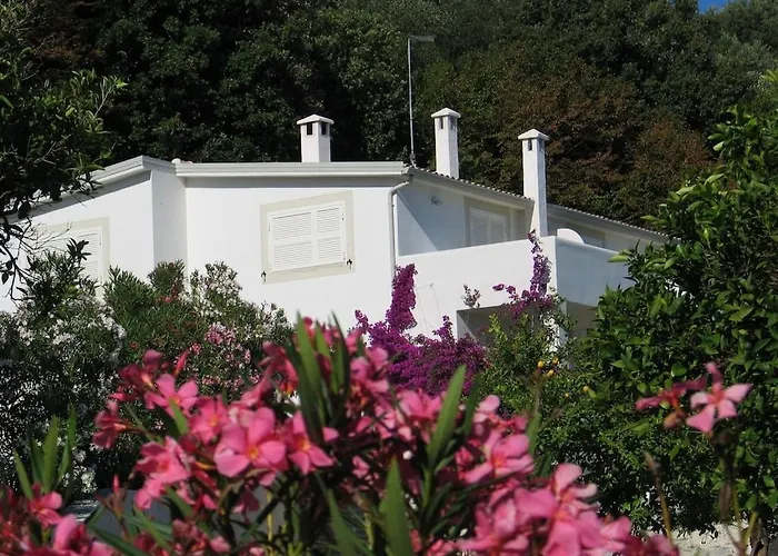 Villa Giulia - Apartment In Villa With Sea View