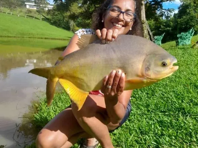 Celeiro azul