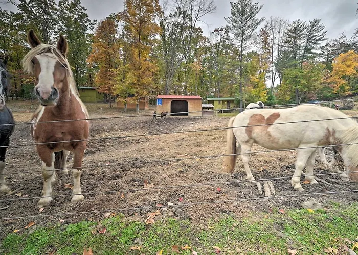 'John Wayne' Apartment - Deck, Bbq, Horses On-Site