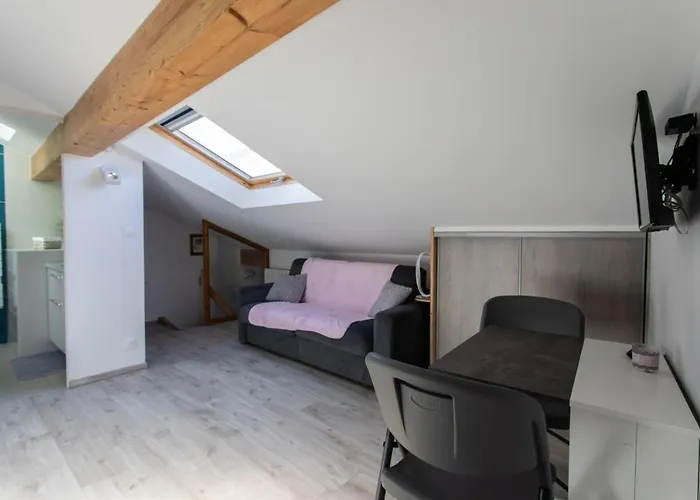 Le Coq Charmant Petit Studio Climatise En Centre Ville D'Embrun