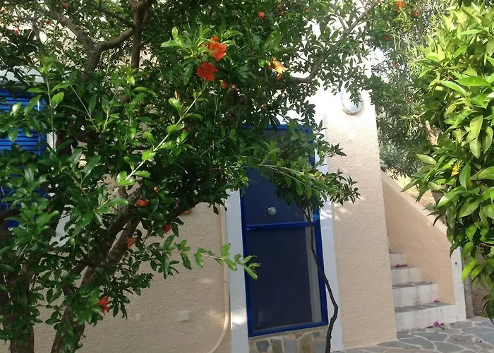 Granatapfel