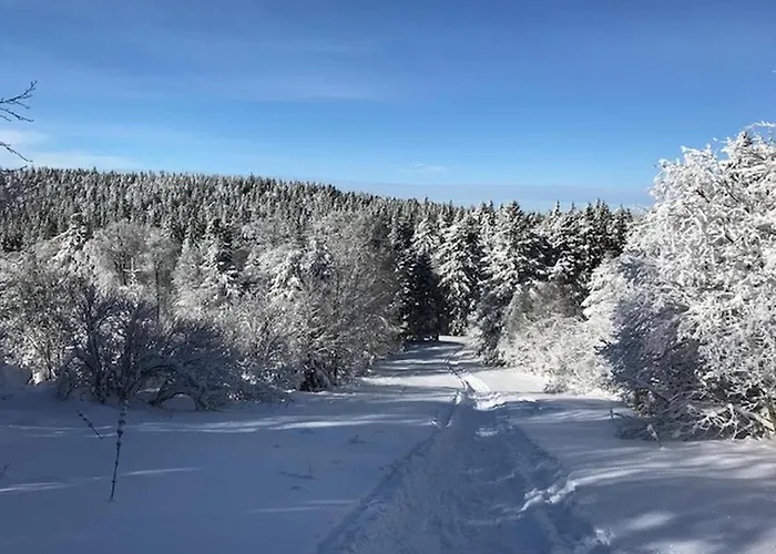 Appartement T2 Au Mont-Dore, 4 Pers, Vue Montagne