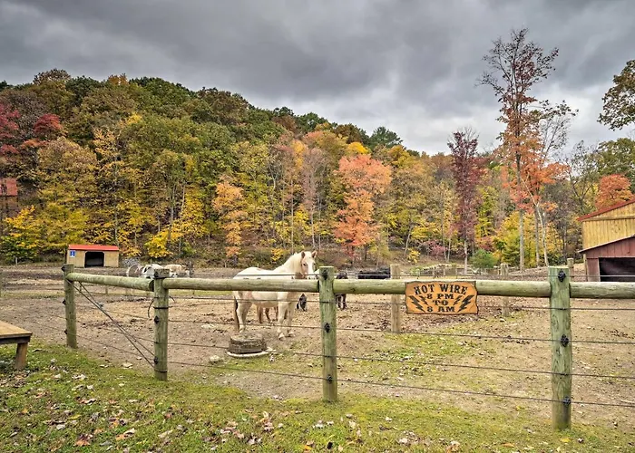 1 Mi To Raystown Lake: 'Bill Pickett' Ranch Apt
