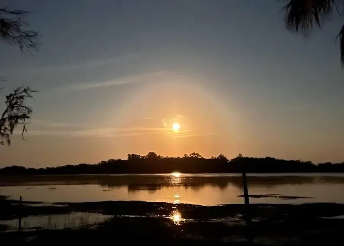 The Offbeat Oasis By The Marsh With Hunting Island Beach Pass