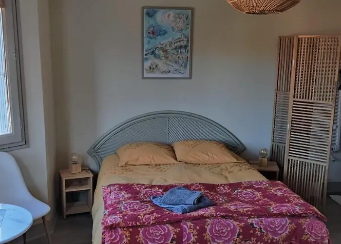 Chambre Spacieuse Dans Maison Art Deco Au Centre De Toulouse