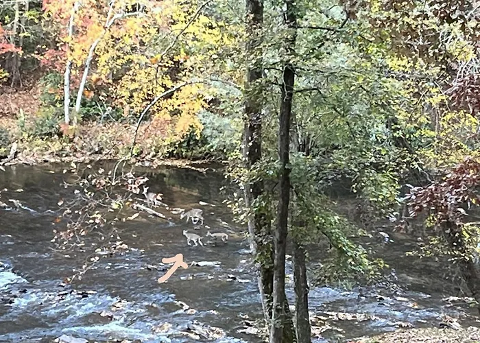 Stay At Rivermist Dahlonega