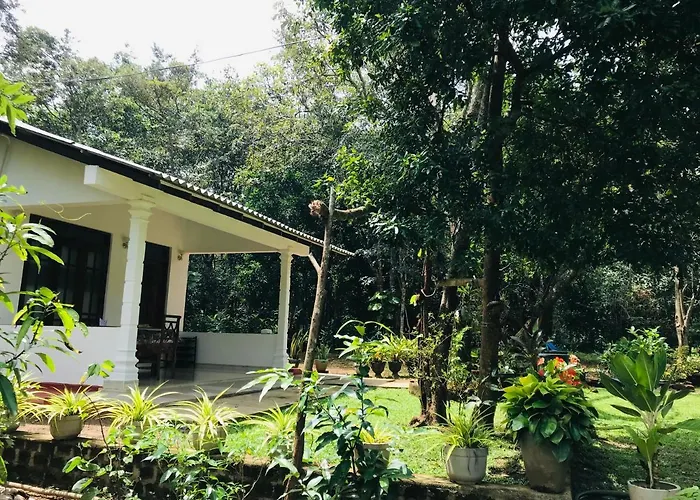 Holly Flowers Villa