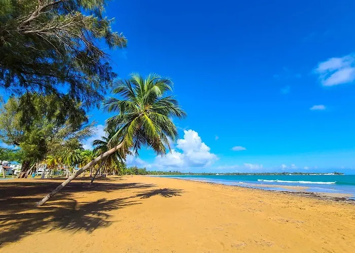 Coastal Puerto Rican Apartment - Walk To Beach!