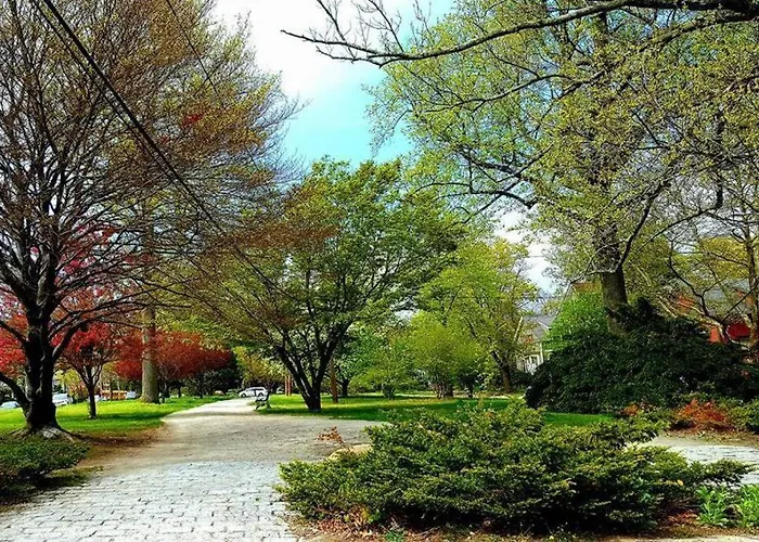 Urban Oasis In Hope Village