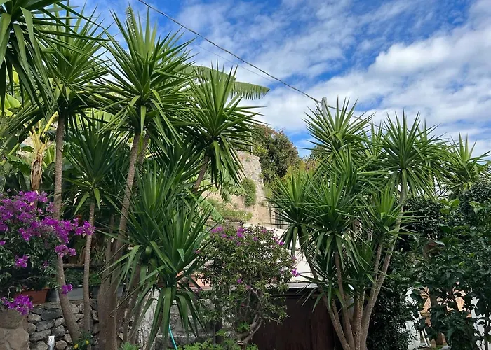 Blue Dream - Amalfi Coast