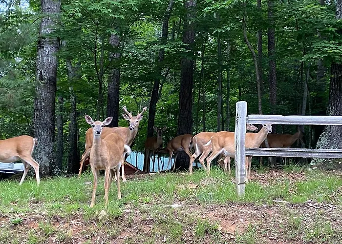 Eagle Mountain River Retreat