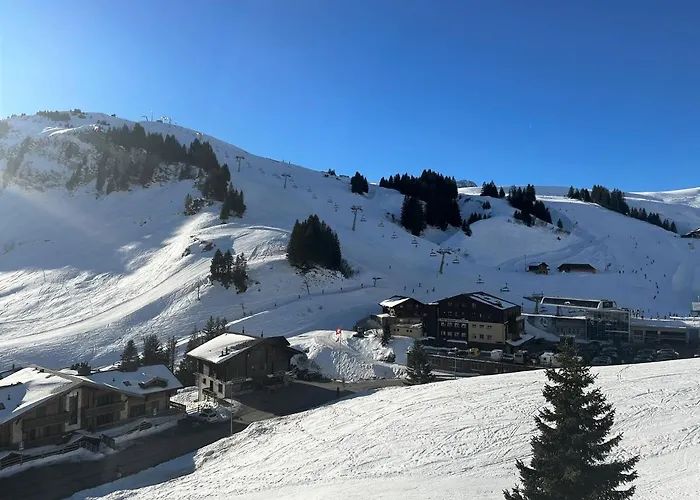 2 Bedroom Apartment, Ski-In/Ski-Out In Les Crosets