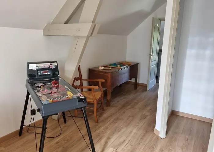 proche chateaux et zoo de beauval: gîte de sologne