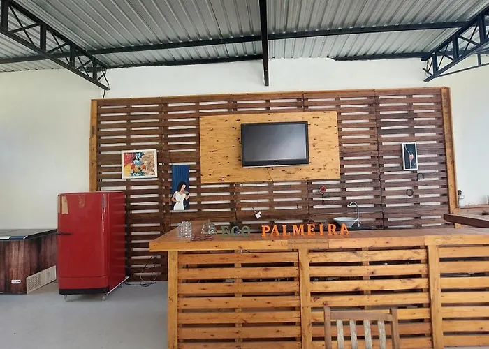 Eco Palmeira