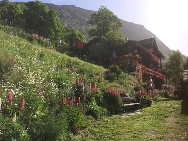 Le P'Tit Coin Montagne