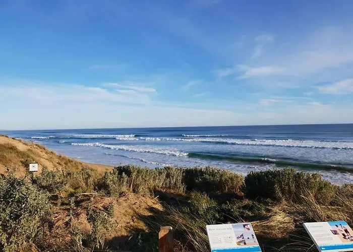 Venus Haven Beach 1 Wifi Netflix