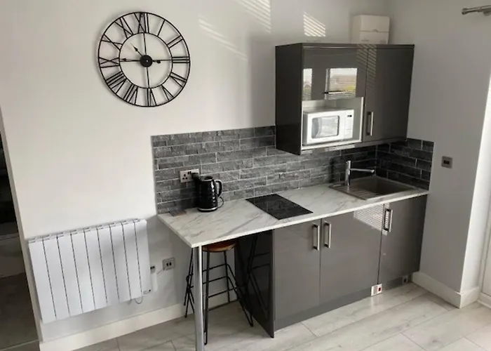 Luxury Mumbles View Studio Apartment