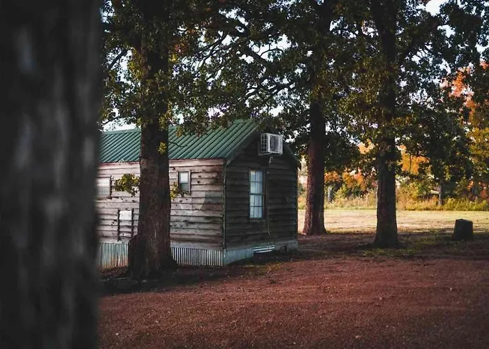 Lakefront Cedar Cabin - 10