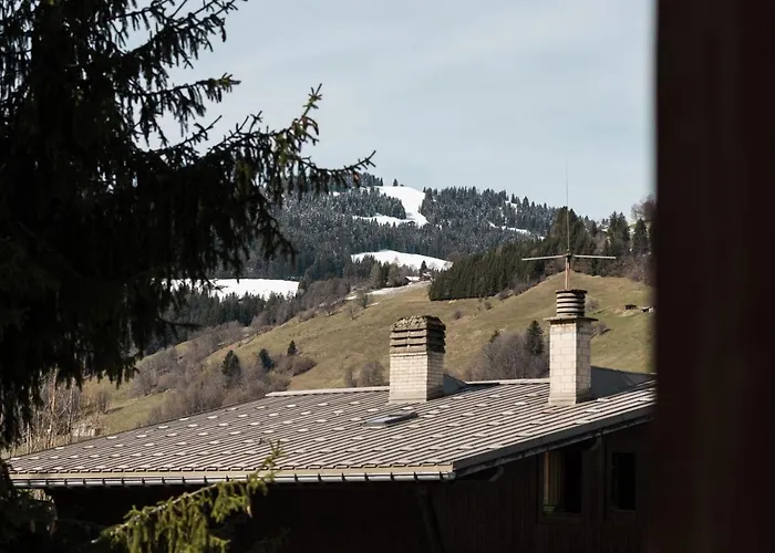 Studio L'Oree - City Centre - Megeve