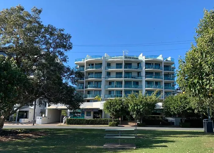 Alby'S - Cotton Tree