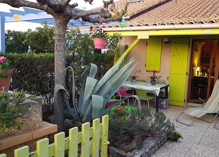 Bambou Nature