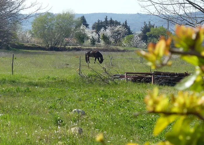 Campagne De Saint Clair