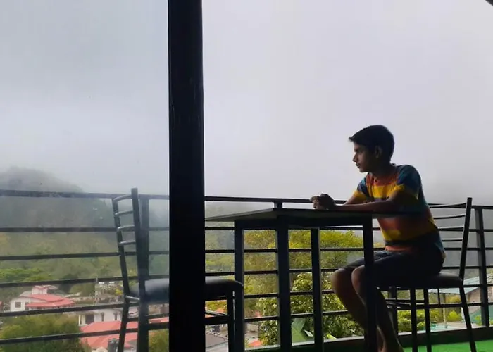 Foggy Mount View