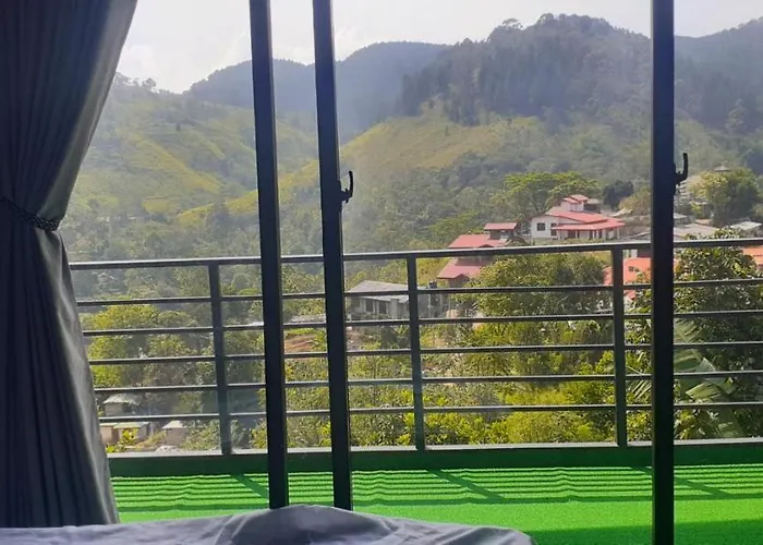 Foggy Mount View