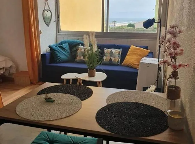 Appartement T2 27M² Meuble, Vue Mer A 50M De La Plage