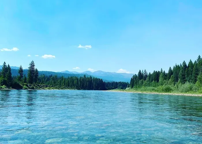 Reclusive Moose Cabins