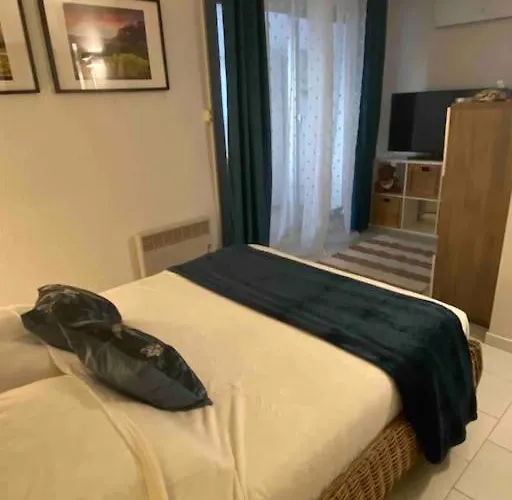 Belle Grande Marina En Duplex Avec Appontement
