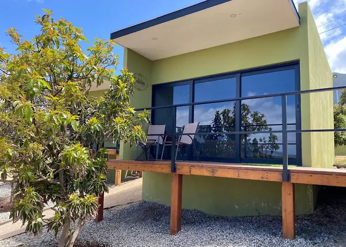 Palta 60 Valle De Guadalupe