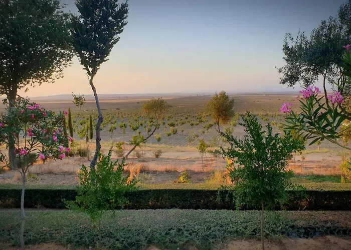 Cortijo El Triguero N-398 Ctra Carmona - El Viso Del Alcor Km 18