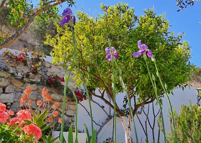 Arhondia House