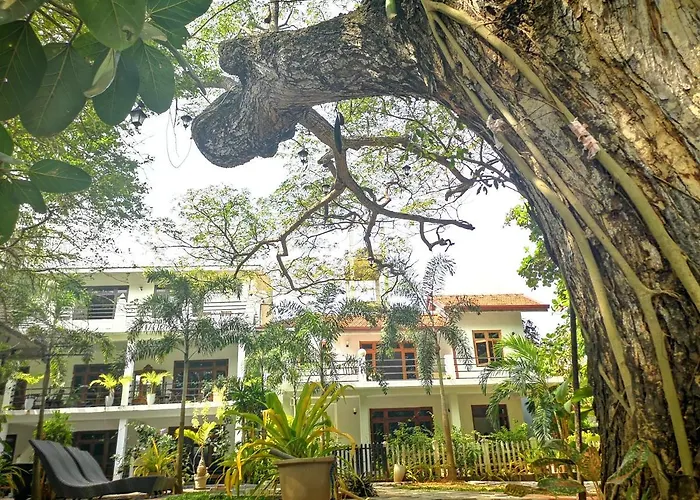 Serendib Village Guest House