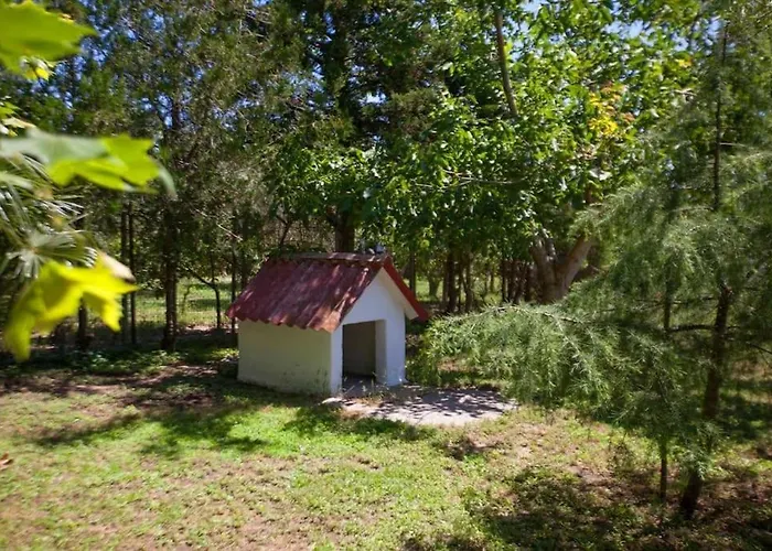 Wonderful Villa With Huge Yard, At Potamos Beach
