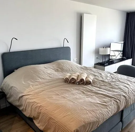 Suite 16