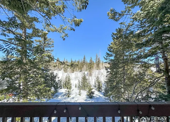 Woodchuck Cabin