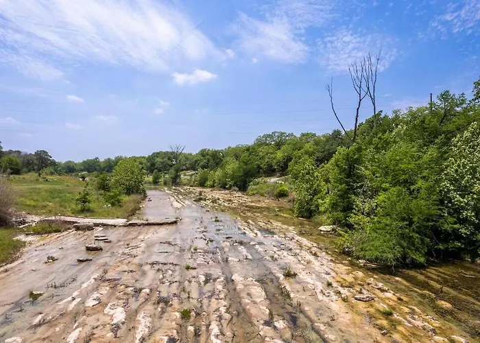 New! Ladybug @ Firefly Grove W/ Blanco River Access