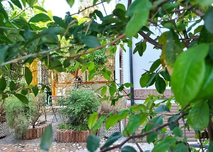 Casa Limonero Con Parking Gratis Junto A Centro Historico